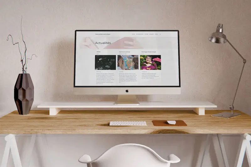 visuel du site association lecturique, refonte malibellule